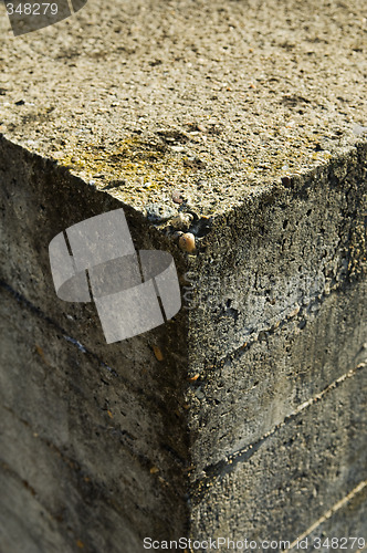 Image of Concrete background