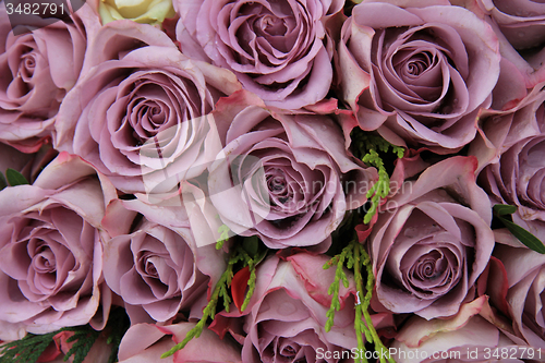 Image of Purple roses in a wedding arrangement