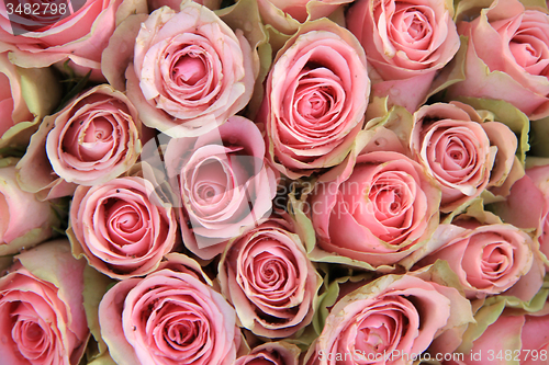 Image of Pink roses in a wedding arrangement