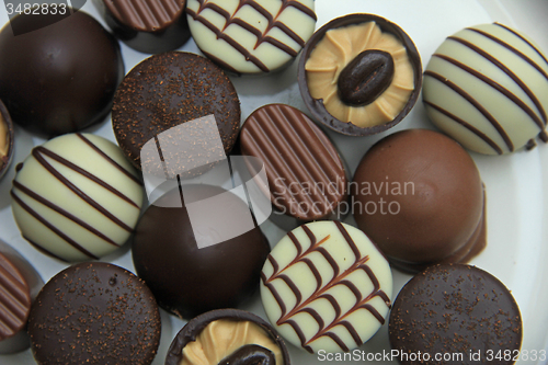 Image of Luxurious Chocolates