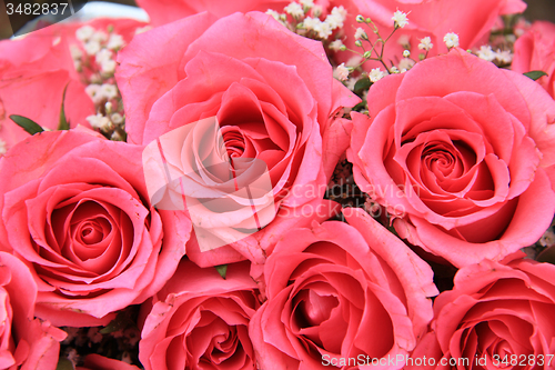 Image of Pink roses in a bridal arrangement