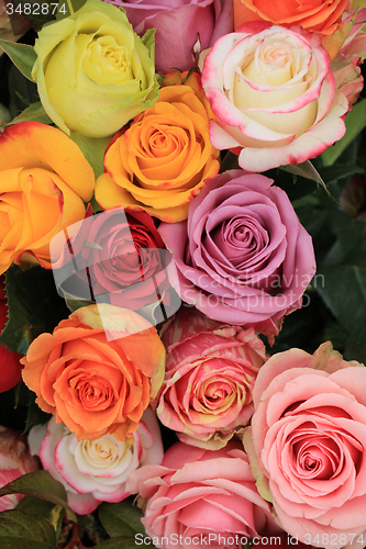 Image of Multicolored wedding roses