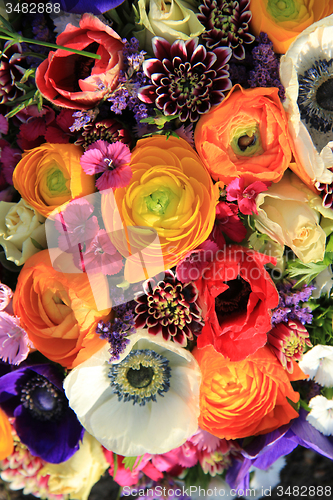 Image of Spring bouquet in bright colors