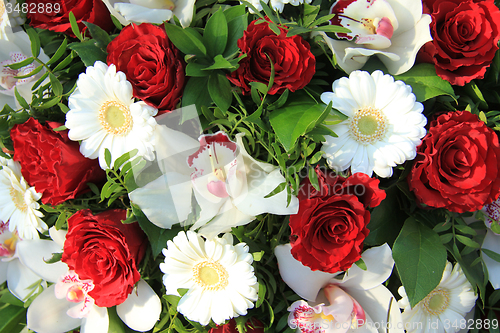 Image of Cymbidium orchids, red roses and white gerberas