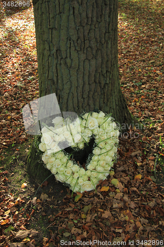 Image of Heart shaped sympathy flowers