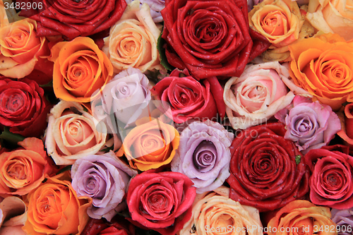 Image of Mixed bridal roses