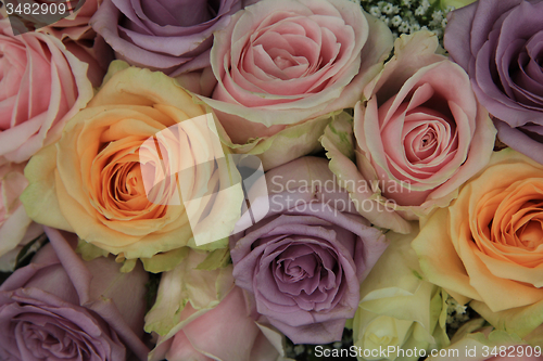 Image of Pastel roses in bridal arrangement