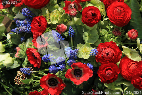 Image of Spring flowers in red and blue