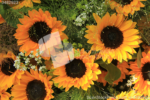 Image of Sunflowers