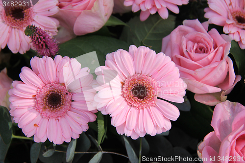 Image of Pink roses in a wedding arrangement