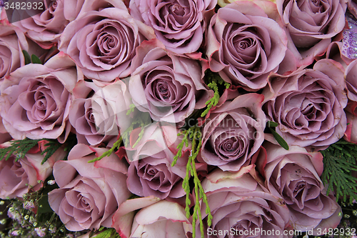 Image of Purple roses in a wedding arrangement