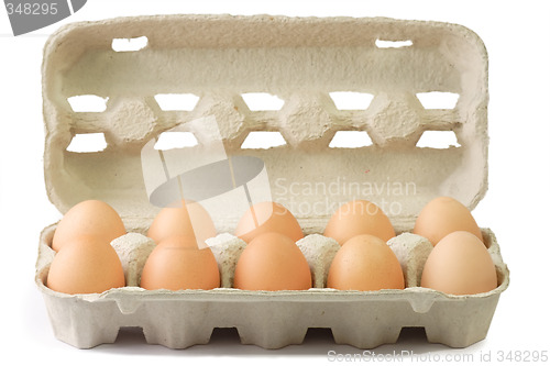 Image of Brown Eggs in a Cardboard