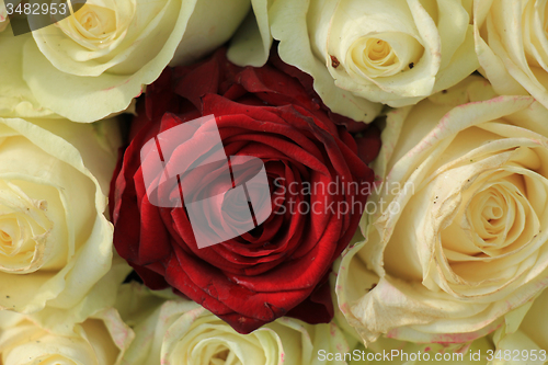 Image of Red rose in white bouquet