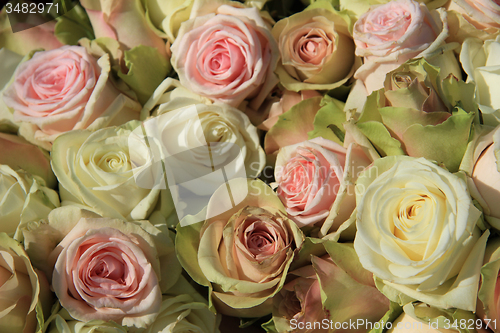 Image of White and Pink roses in wedding arrangement