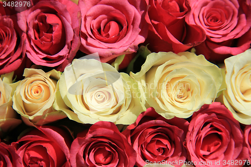 Image of Pink roses in different shades in wedding arrangement