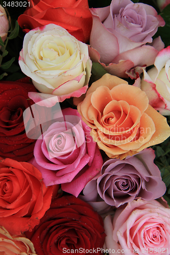 Image of Mixed bridal roses