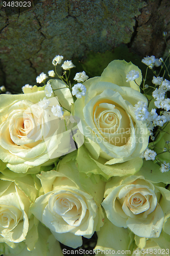 Image of White wedding flowers