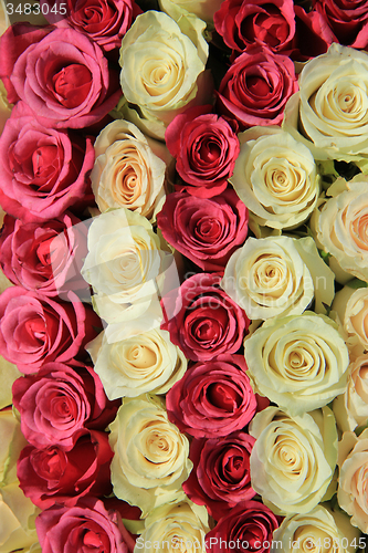 Image of Pink roses in different shades in wedding arrangement