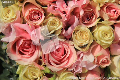 Image of White and pink roses in wedding arrangement