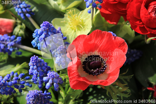 Image of Spring flowers in red and blue