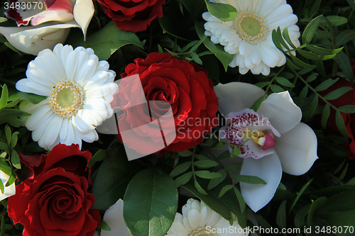 Image of Cymbidium orchids, red roses and white gerberas