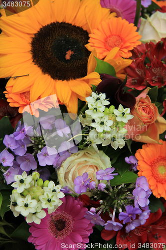 Image of Colorful summer bouquet