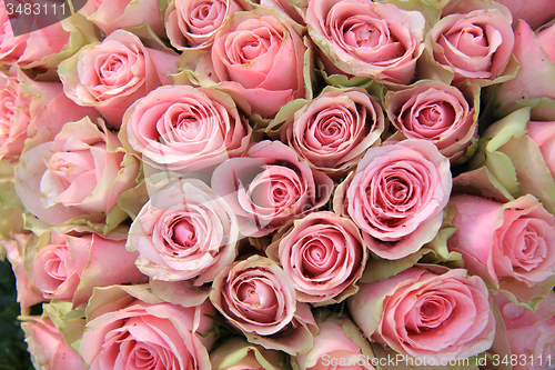 Image of Pink roses in a wedding arrangement
