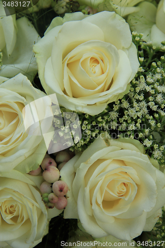 Image of White wedding roses