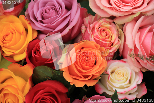 Image of Multicolored wedding roses