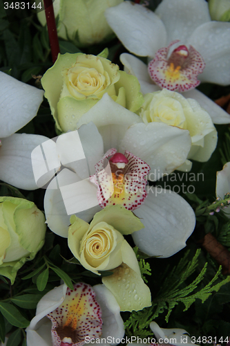 Image of Cymbidium orchids and white roses in bridal bouquet