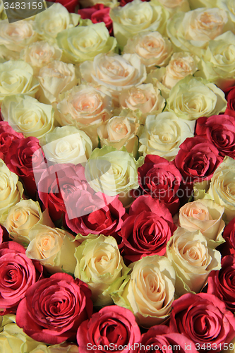 Image of Pink roses in different shades in wedding arrangement