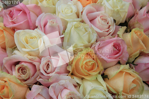 Image of Pastel roses in a wedding arrangement