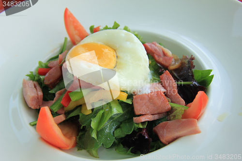 Image of Poached egg and salad