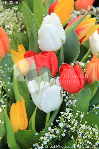 Image of Yellow tulips