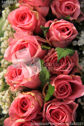 Image of Pink roses and baby breath bouquet