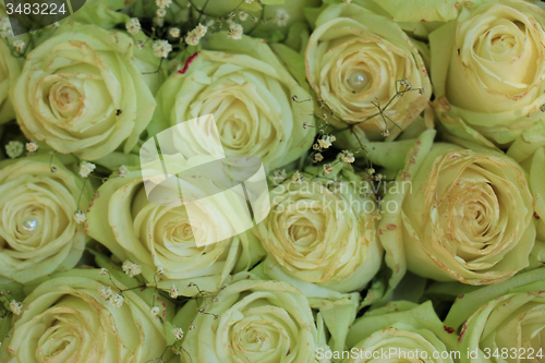 Image of white roses and pearls