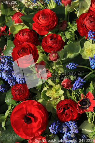 Image of Spring flowers in red and blue