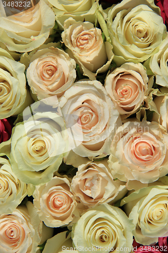 Image of Pink roses in different shades in wedding arrangement