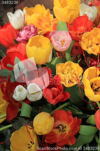 Image of Tulip bouquet