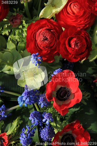 Image of Spring flowers in red and blue