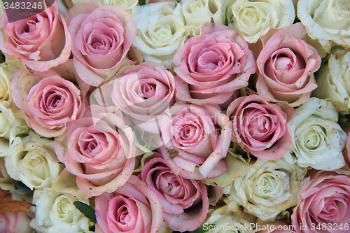 Image of Pink and white roses in a bridal arrangement