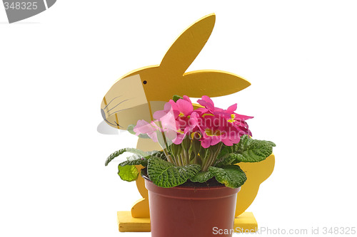 Image of Easter bunny with flowers