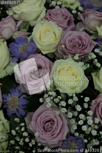 Image of Purple and white wedding roses