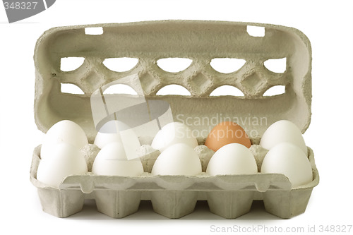 Image of Eggs in a cardboard