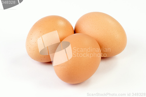 Image of Fresh Eggs