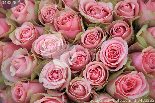 Image of Pink roses in a wedding arrangement