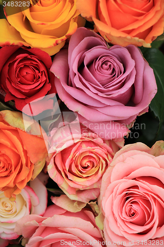 Image of Multicolored wedding roses