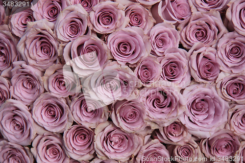 Image of Purple rose wedding arrangement