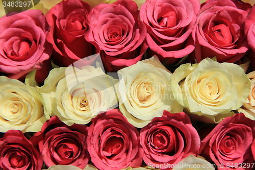 Image of Roses in different shades of pink, bridal arrangement