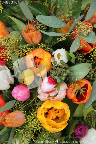 Image of Mixed tulip arrangement